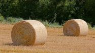 PLAN FOURRAGE – Les Landes au soutien des exploitations